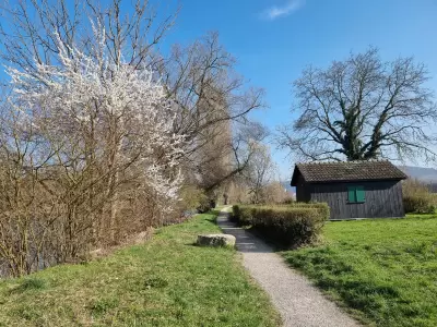 Wydehüsli im Vorfrühling, 8.3.2024